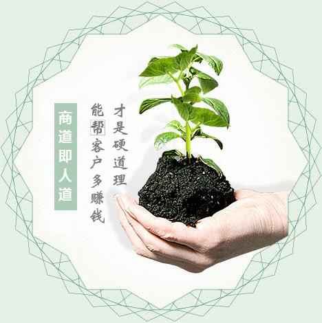 蔬菜種子經(jīng)營(yíng)，商道即人道