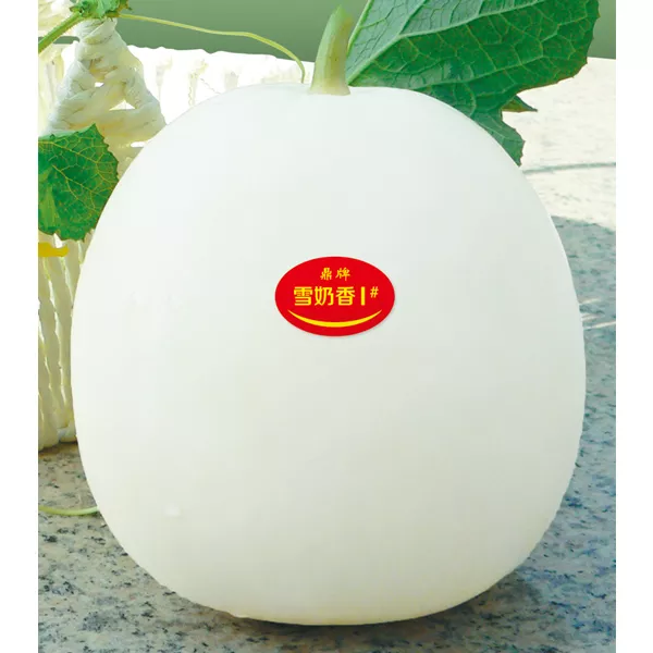薄皮甜瓜，哪個品種最好呢？畝產(chǎn)高達10萬，附4種市場爆款品種