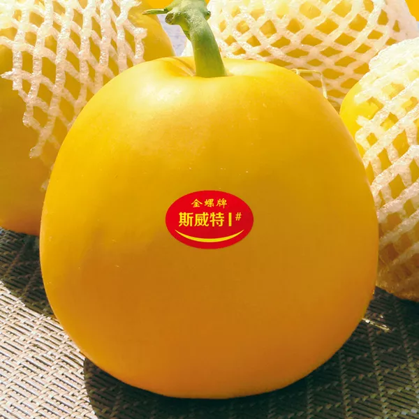 薄皮甜瓜，哪個品種最好呢？畝產(chǎn)高達10萬，附4種市場爆款品種