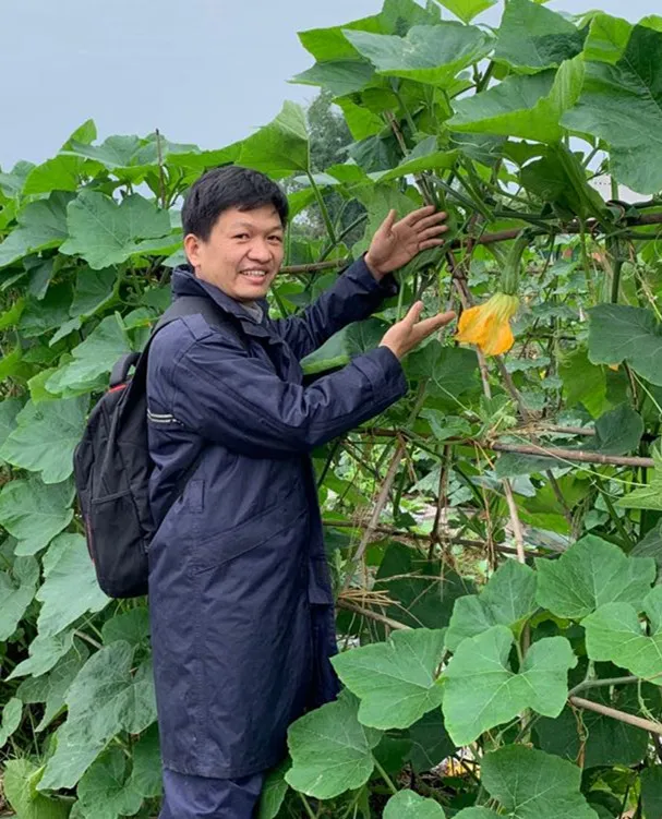 3元1斤的健美蜜本南瓜快成熟了，緬甸種植戶發(fā)來圖片與視頻