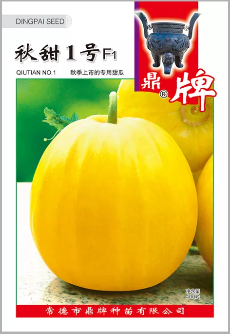 高溫季節(jié)種植甜瓜，什么品種最好？這個品種是秋季上市的專用品種