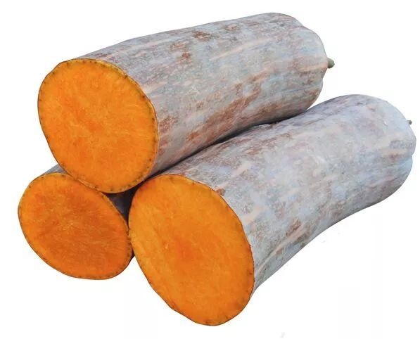 生吃都好吃南瓜新品種，沒(méi)有大肚子，肉質(zhì)更密致，農(nóng)戶試種下