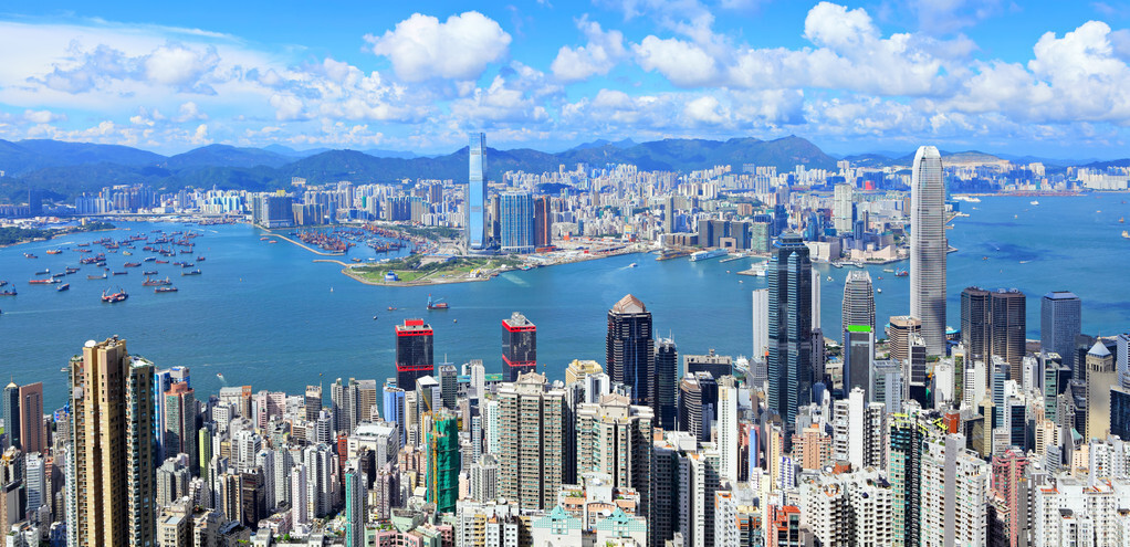 這個(gè)絲瓜畝產(chǎn)可達(dá)8000公斤，菜農(nóng)2021年致富的絲瓜品種