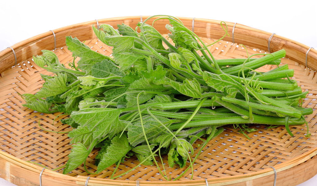 種這種綠葉菜，栽培輕松，畝產(chǎn)值過萬元，菜農(nóng)表示很劃算