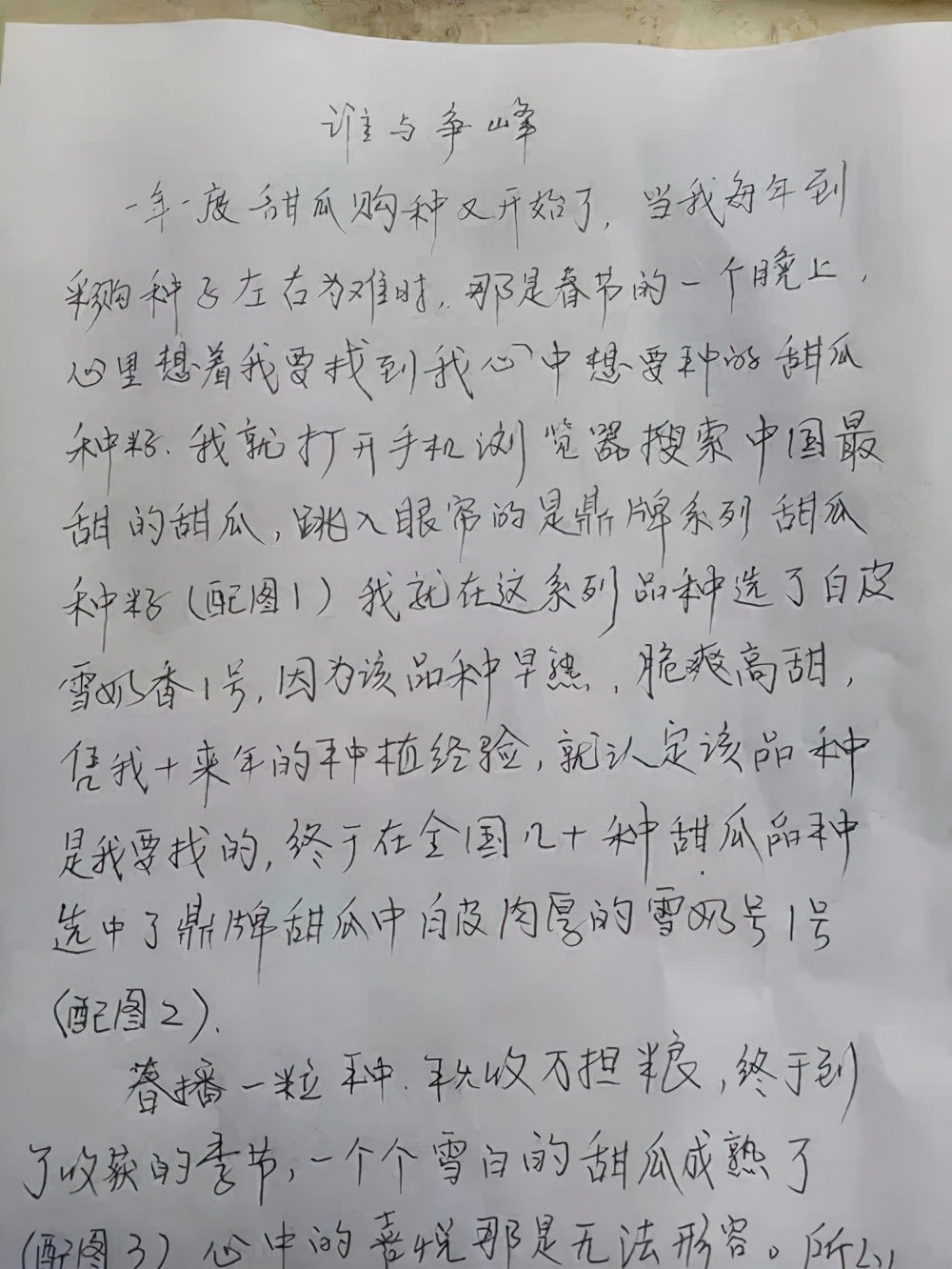 河南焦作的李向林今年種植甜瓜新品種，客戶直接拉貨走人