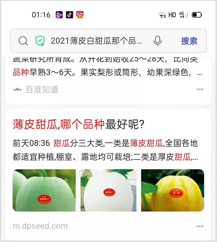 河南焦作的李向林今年種植甜瓜新品種，客戶直接拉貨走人