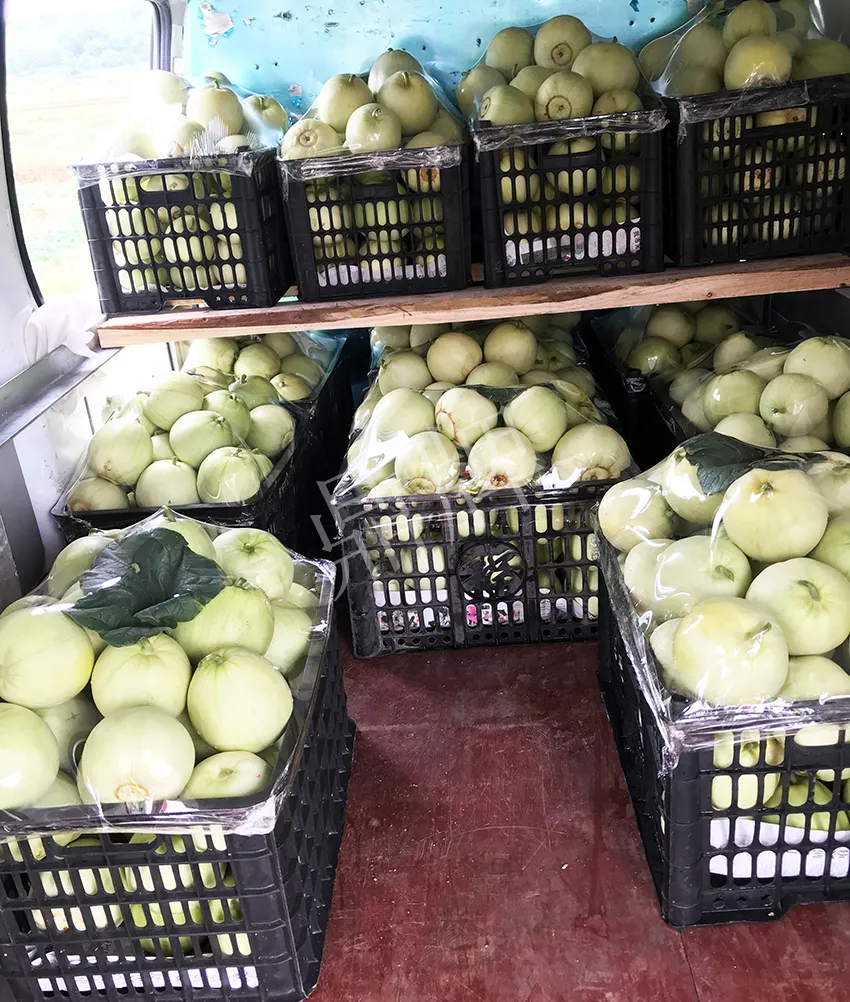 郴州農戶種植新品種，果實又香又甜，很好賣